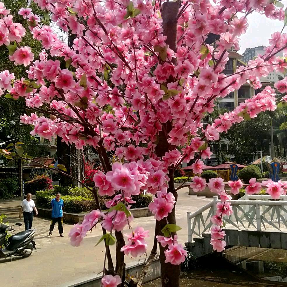 相遇幸福