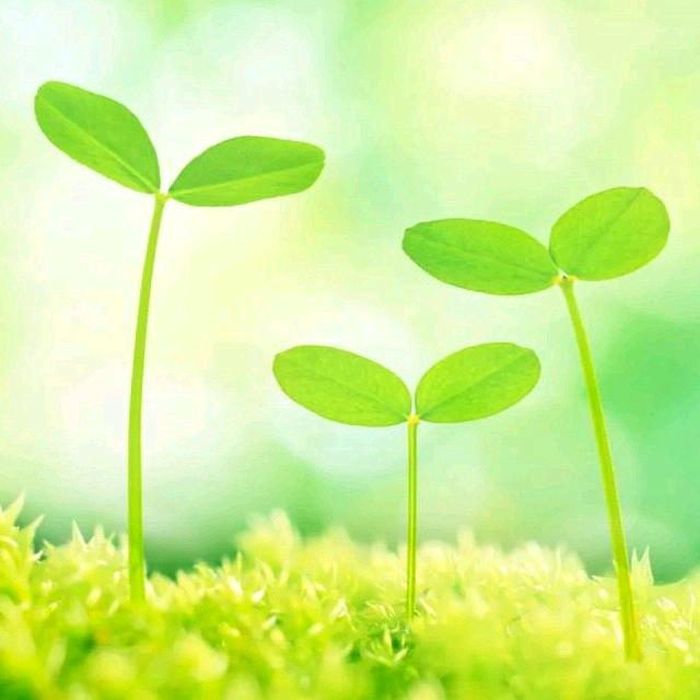 🌈🍀弦月✨🌈