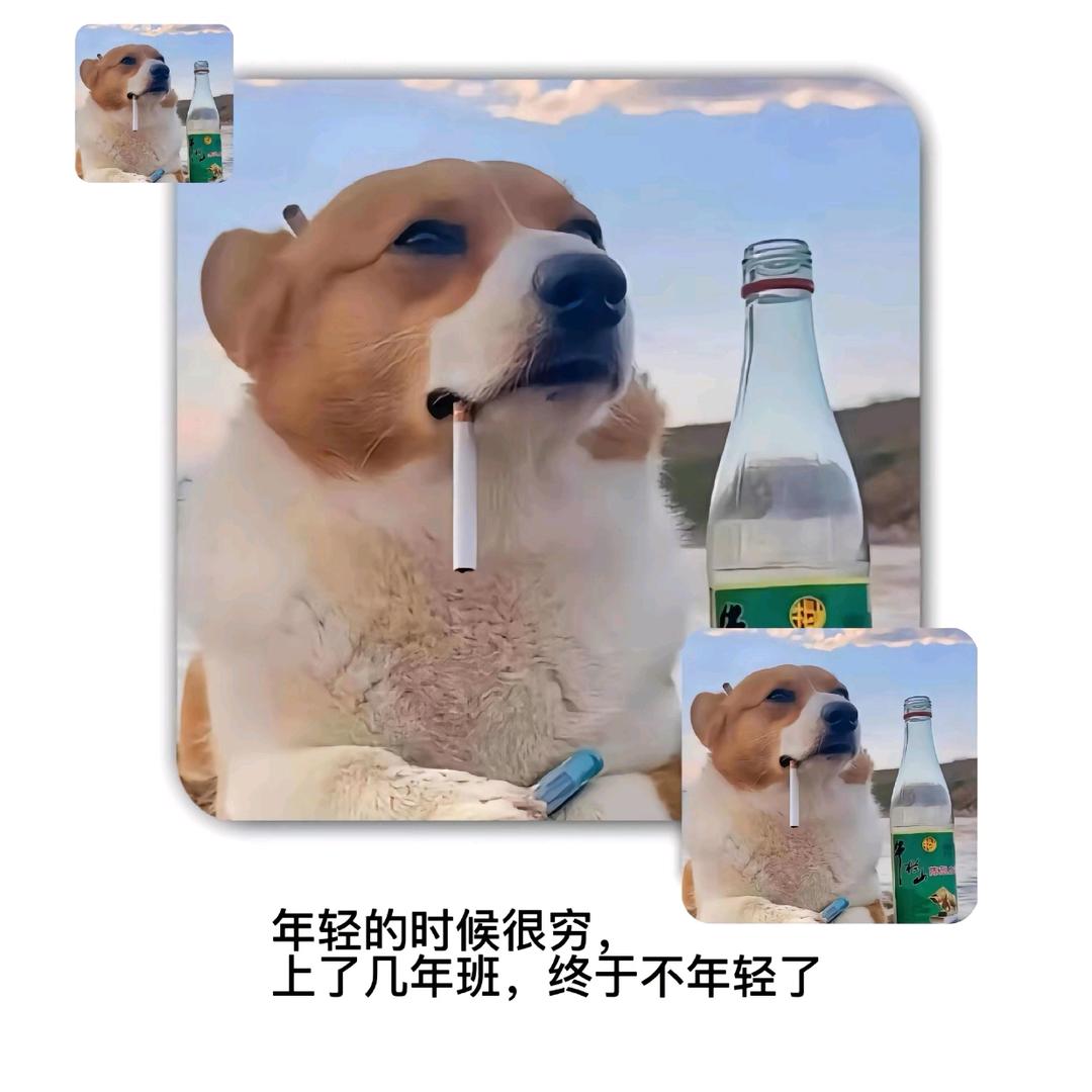 ๓