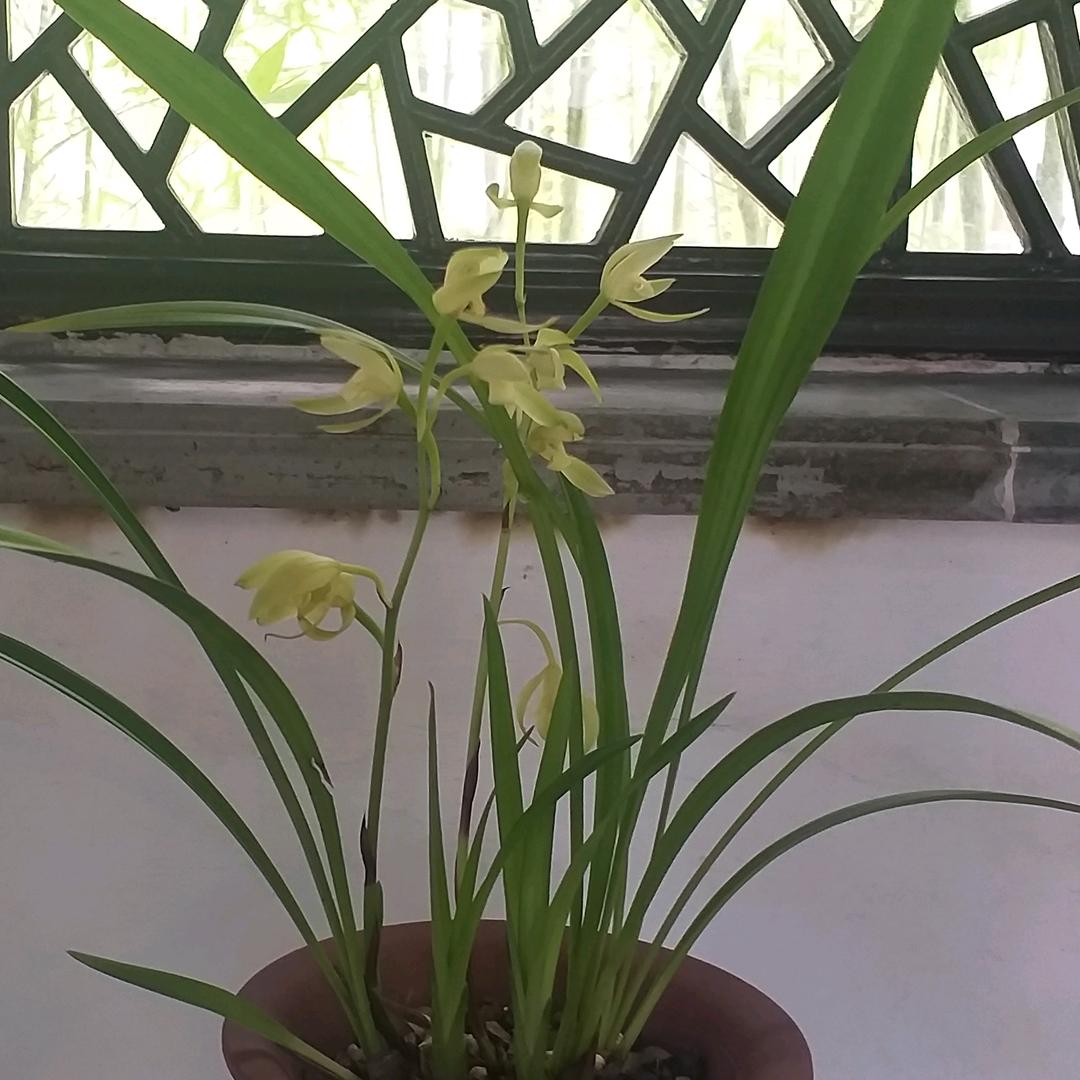 透过美颜看世界