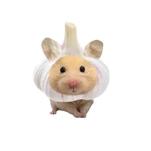 铭斯美术馆