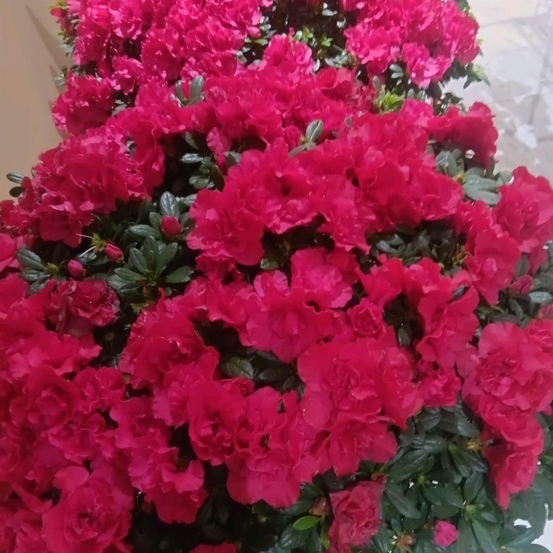 走南闯北为生活…无言921