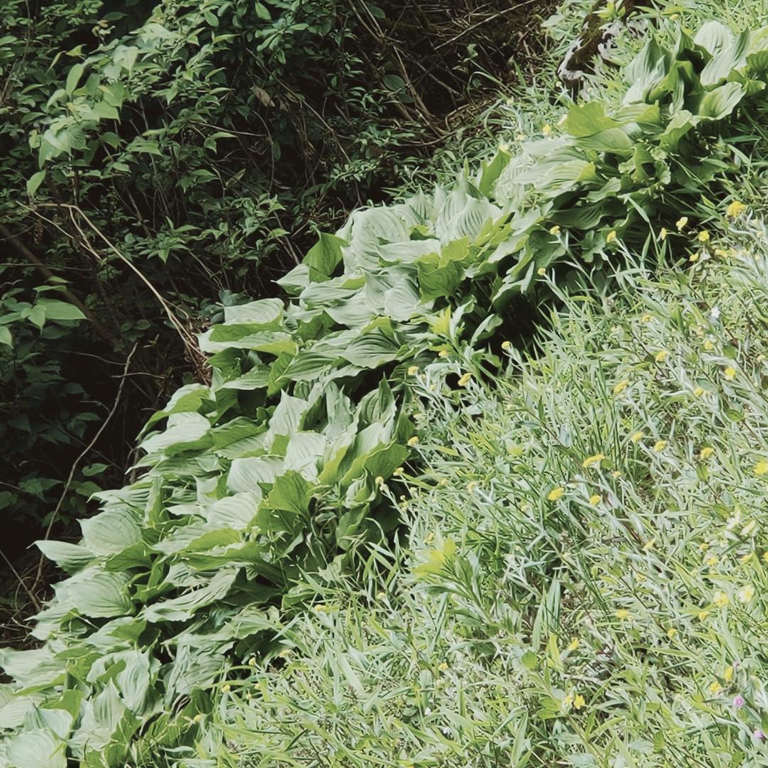 坐在坟前调戏鬼