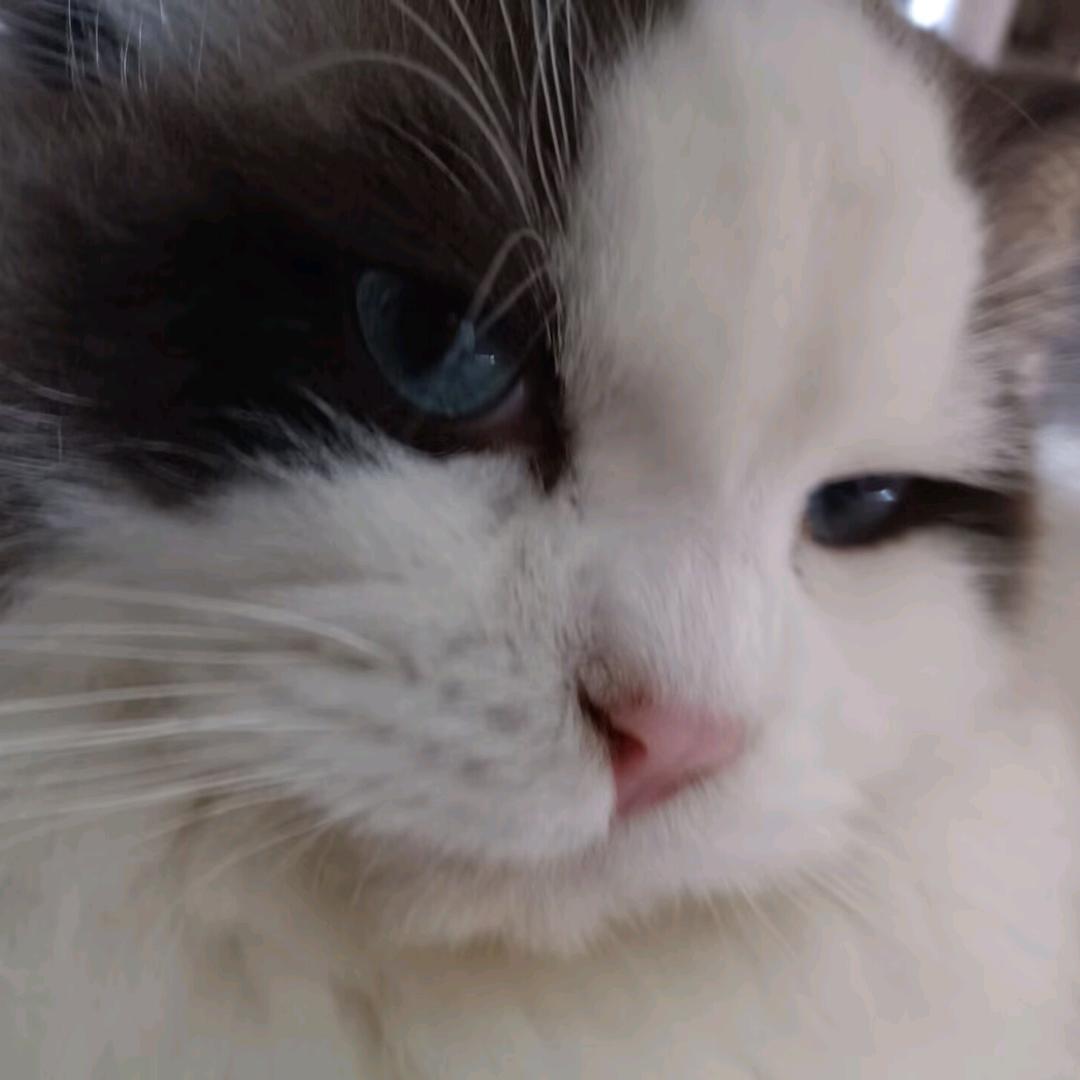 一天要🦌十小时