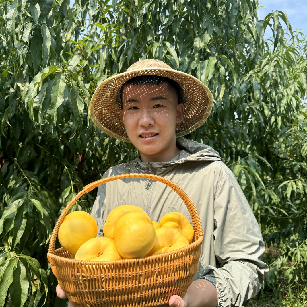 小健哥家庭果蔬农场