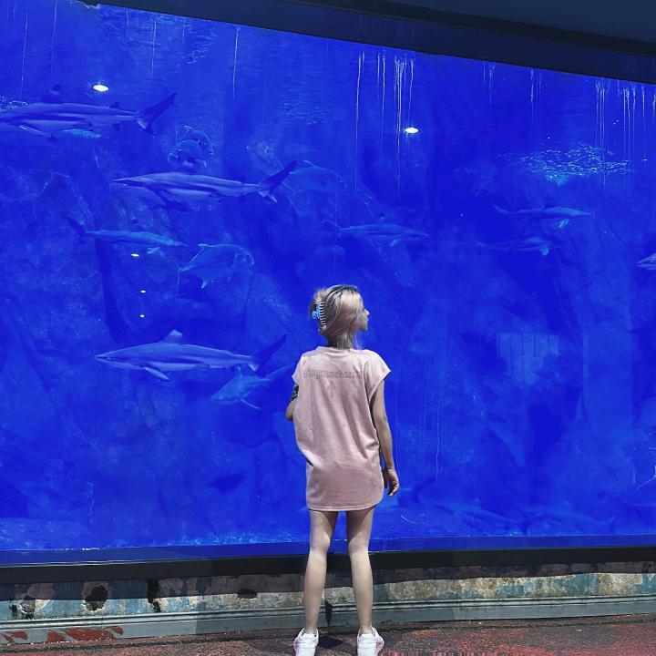 盔kui♡