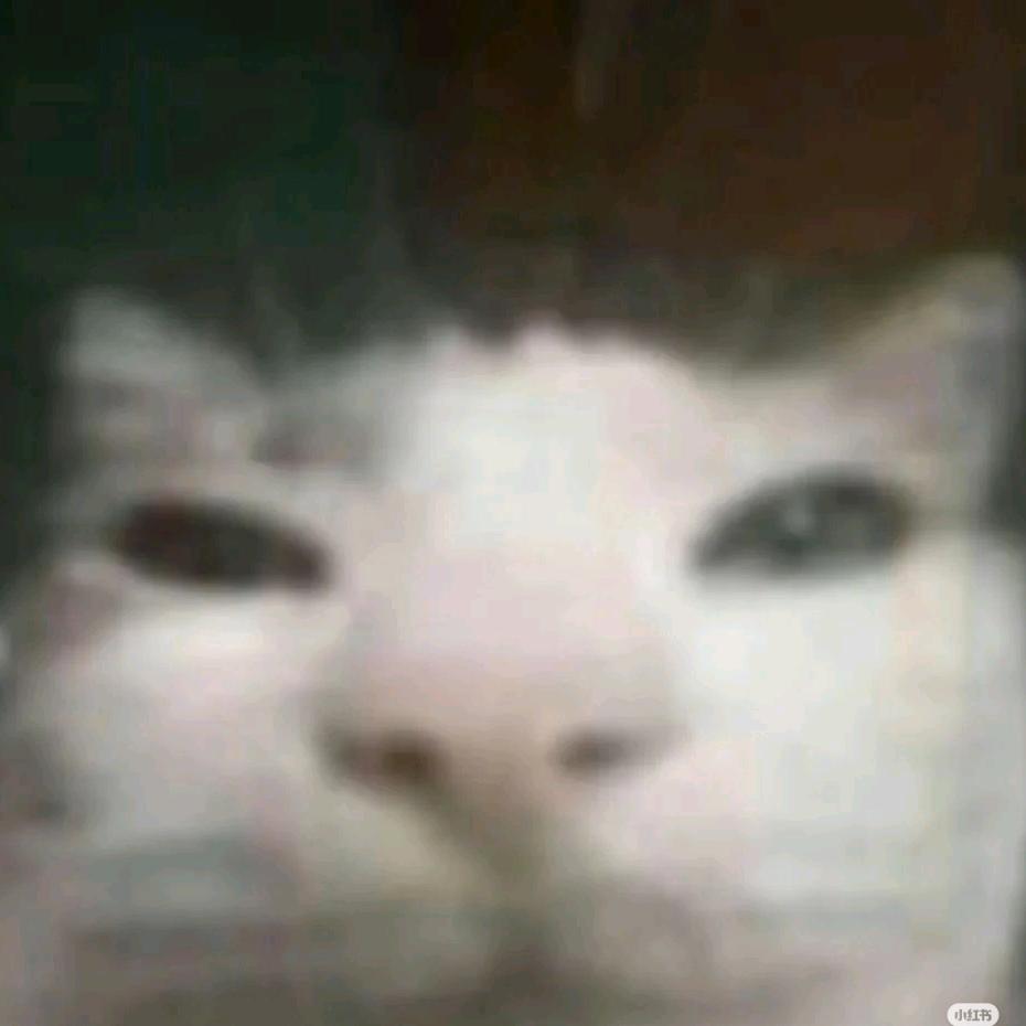 颗粒状的不明物体
