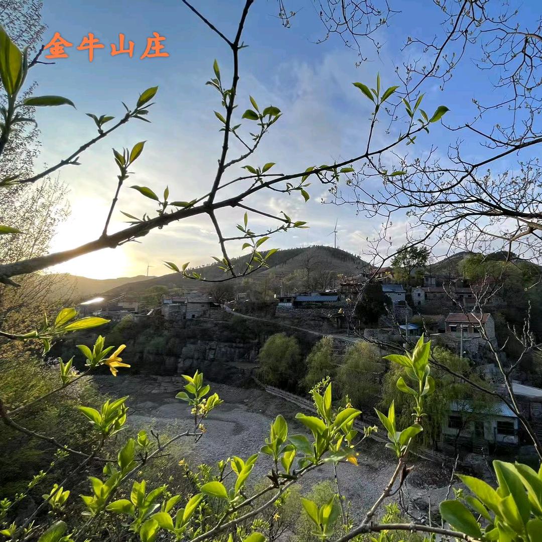 淄川岭子金牛山庄