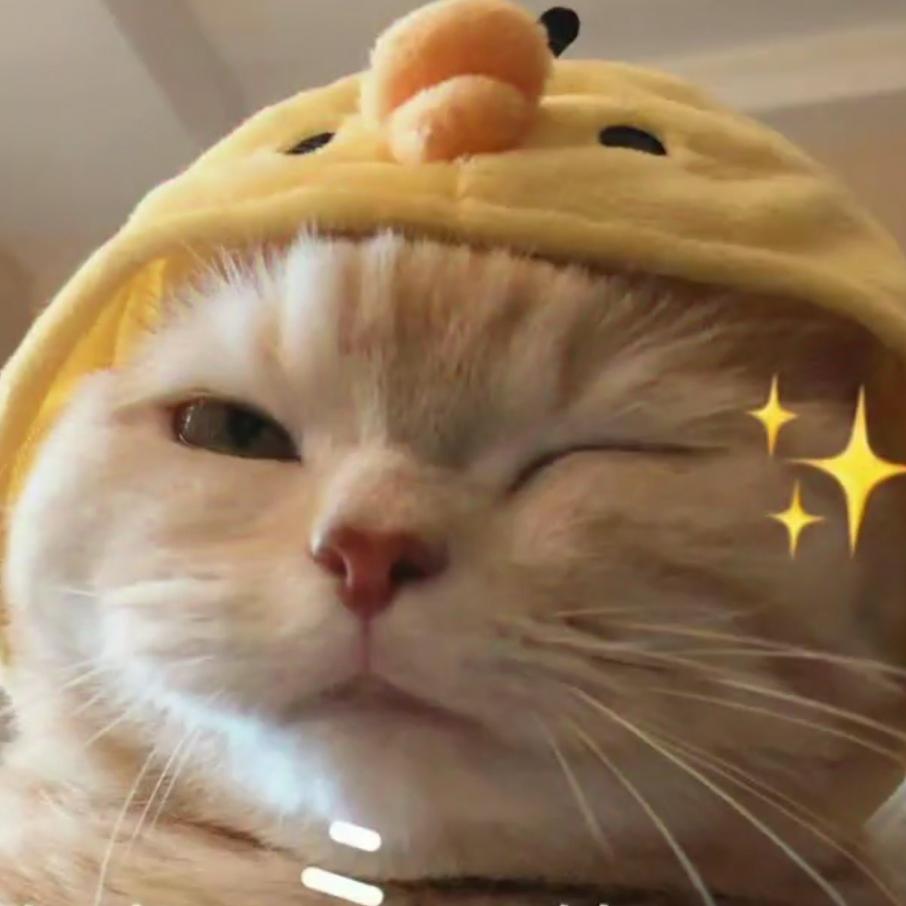 与你影视