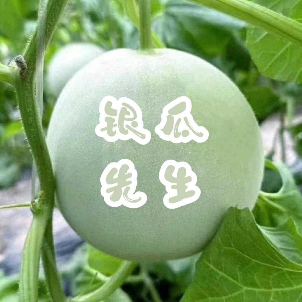 银瓜先生（瓜族娱乐）