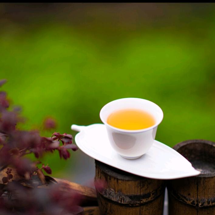 悟茶🍵人生