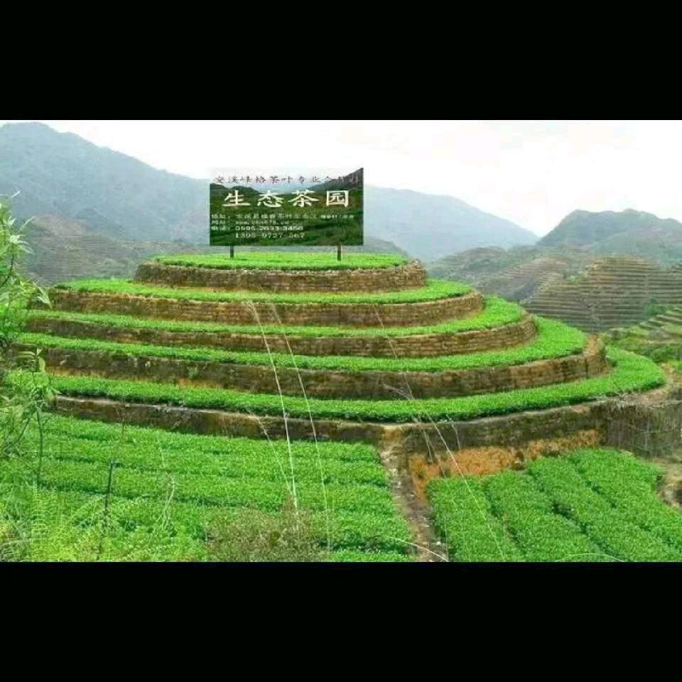 逆风翻盘