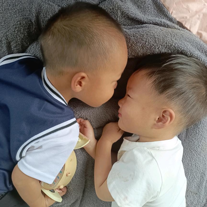 葶苈向阳