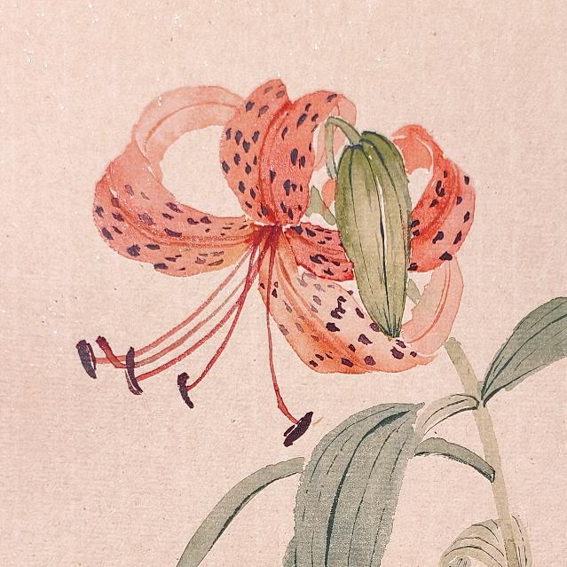 小柑画案