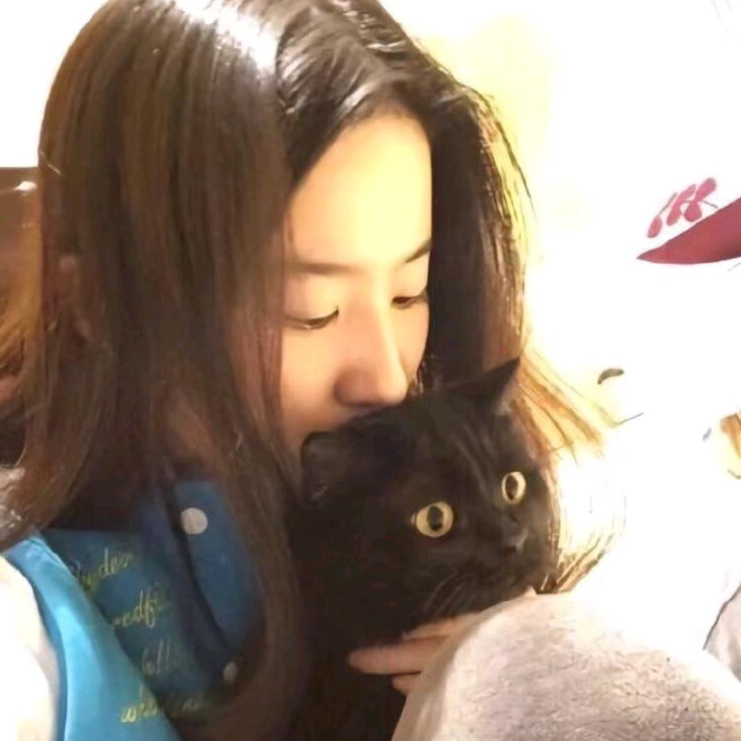 芋圆小猫