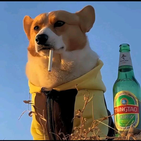 广东纯爱战神头像