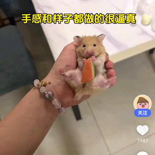 木叶红了树也酷了