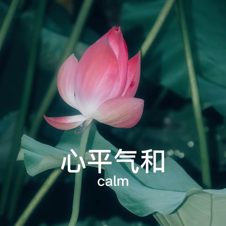 三月阳光