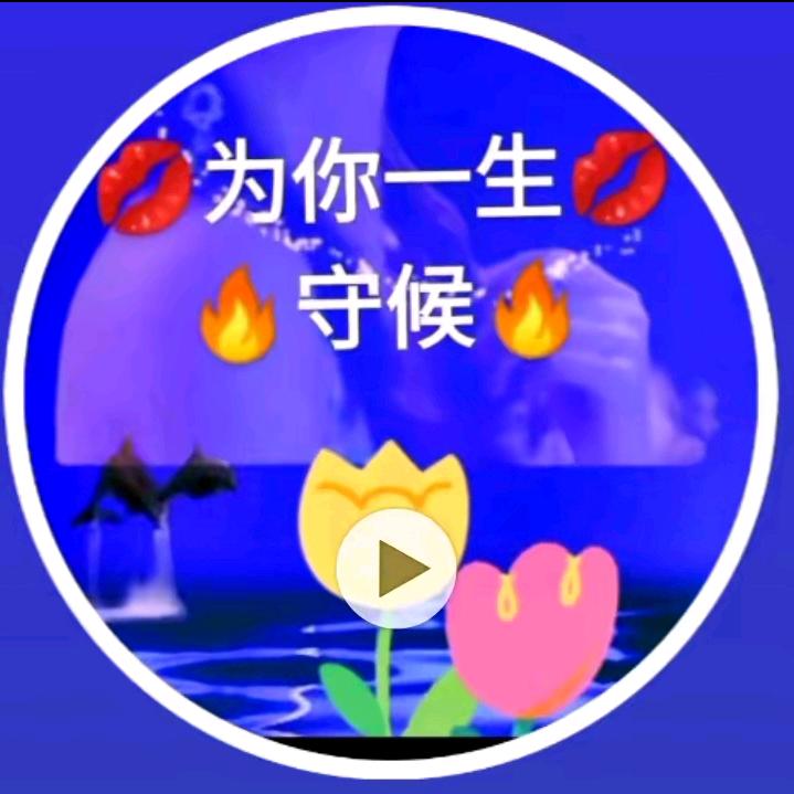 🌜🌹真心🌹爱你🌹🌛