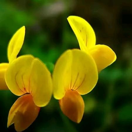 除了梦里再没见过你