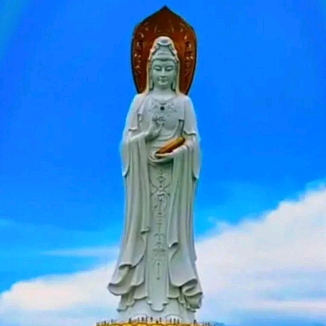 菩提不退