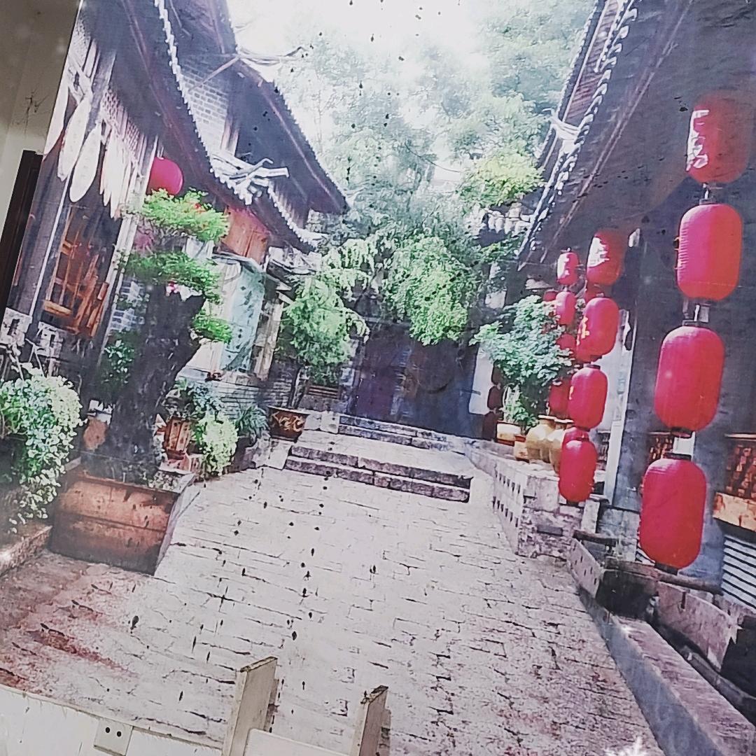 小丽丽