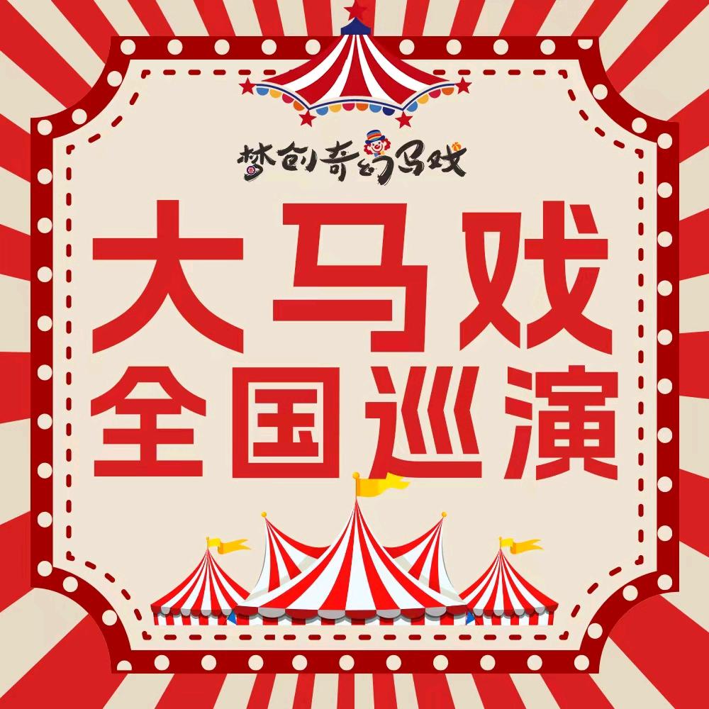 扬扬带你看马戏