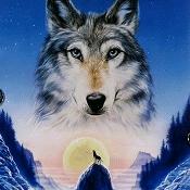 🇨🇳雨后彩虹🌈