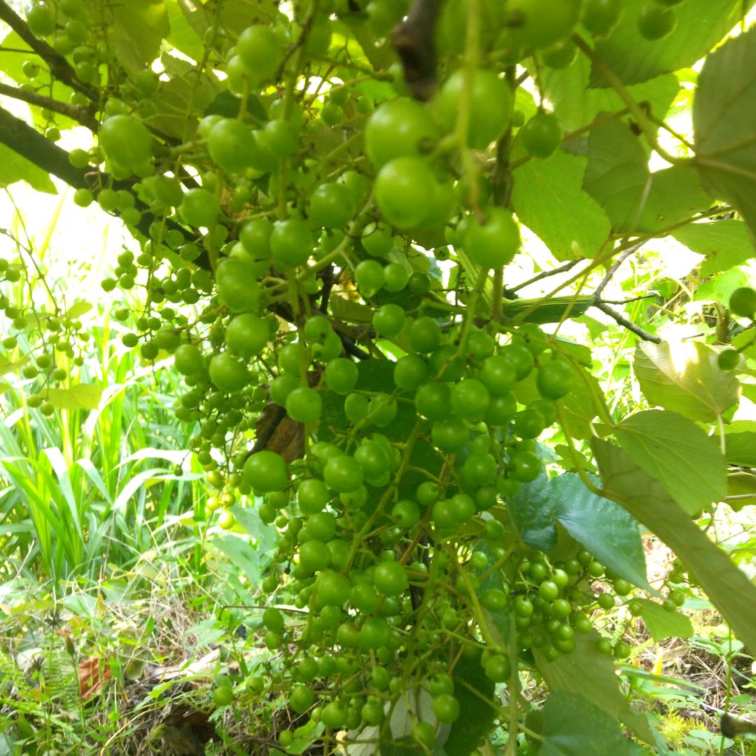 💖一路向北💖