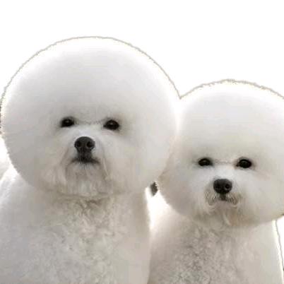 💰💰💰David💰💰💰