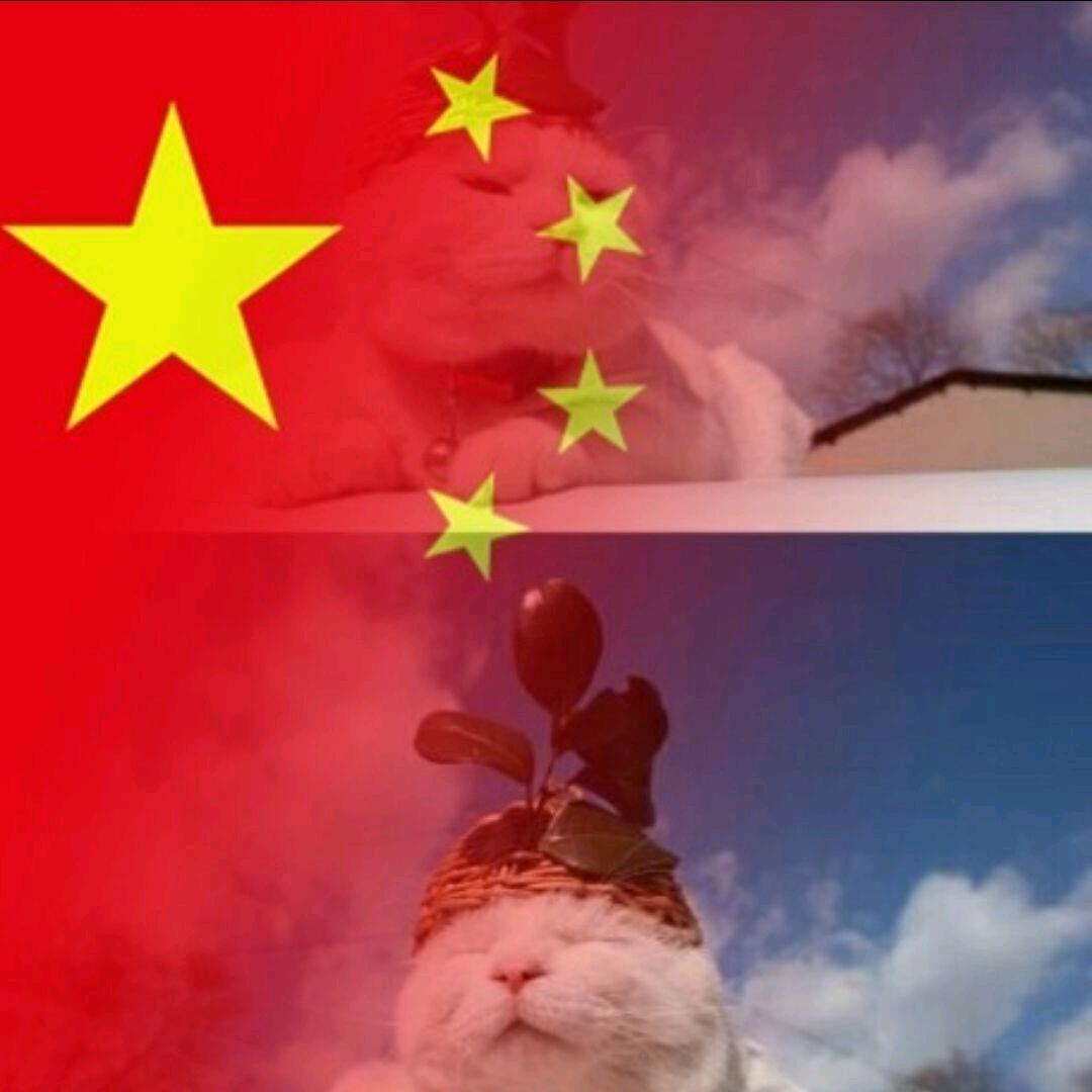 我的故事从02年起