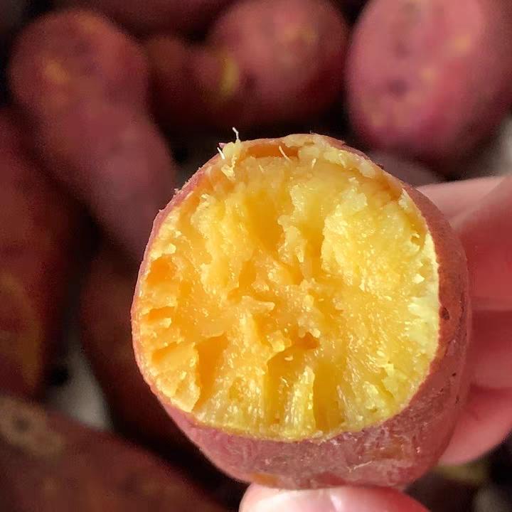 三小汪臻选百货铺