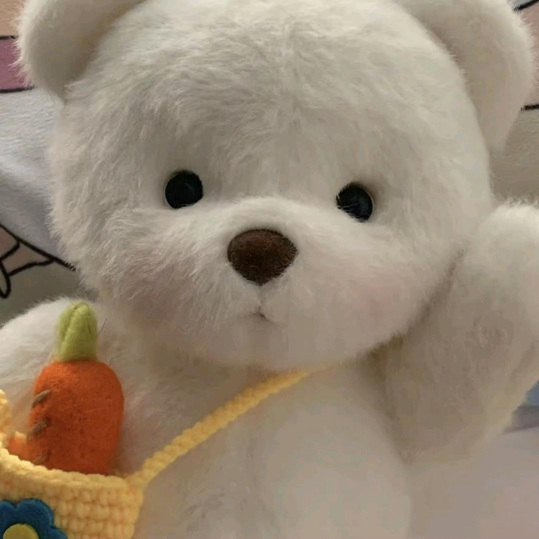 是小迪呀