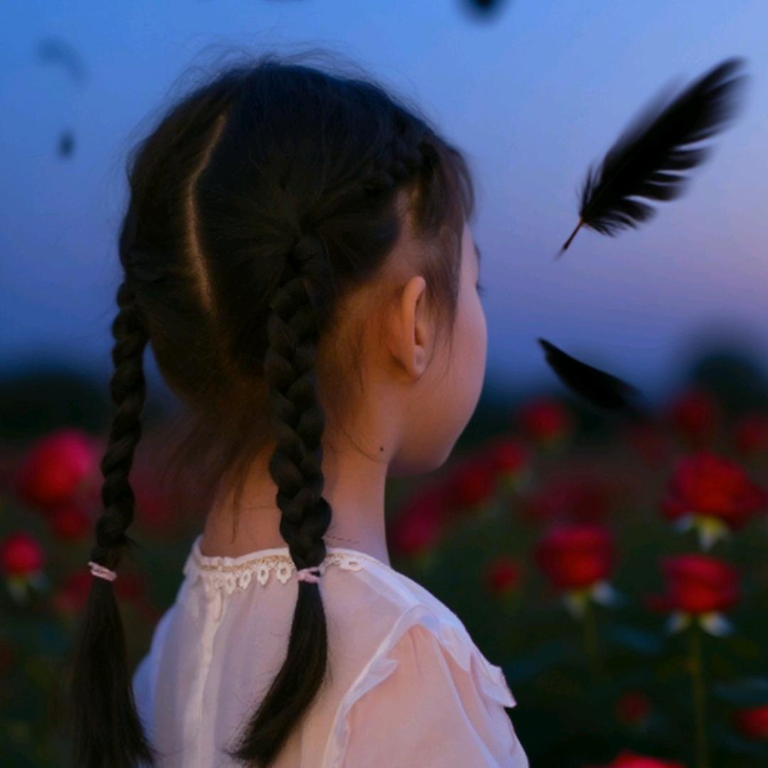 提酒一壶逛红尘