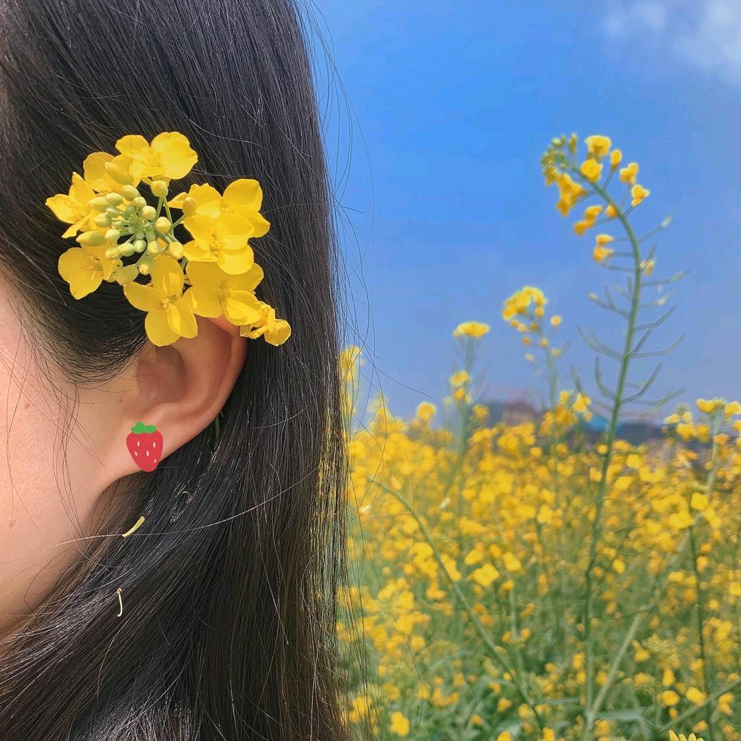 芝芝