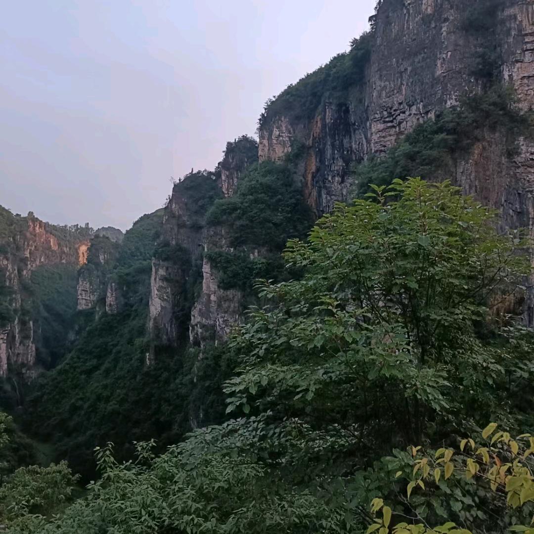 小依赖