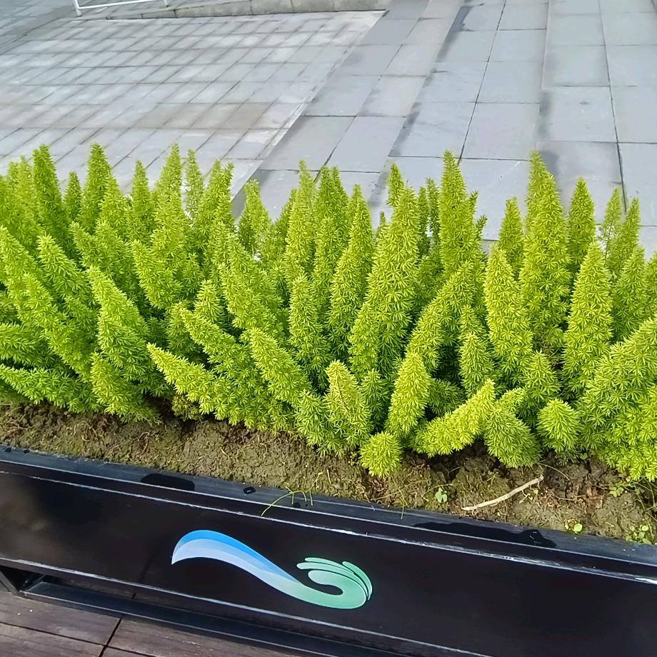 ❤️快乐每一天❤️