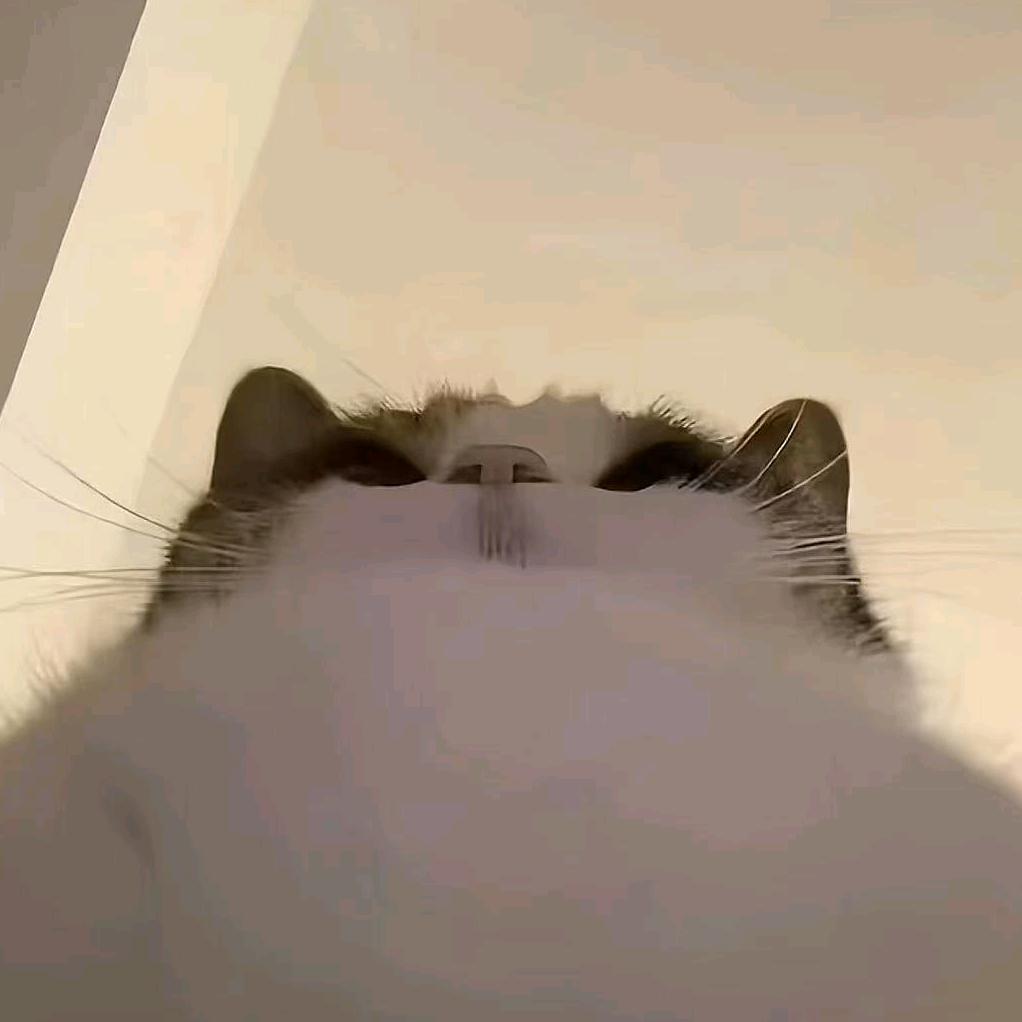 清风