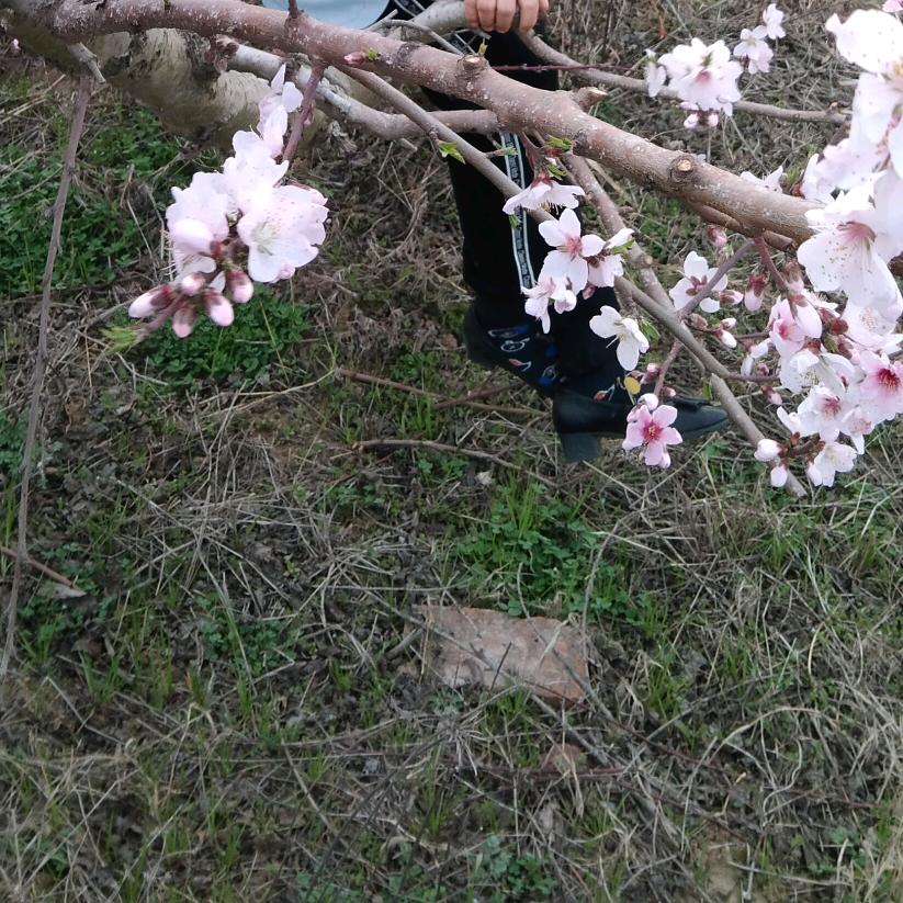 用户7322737136479