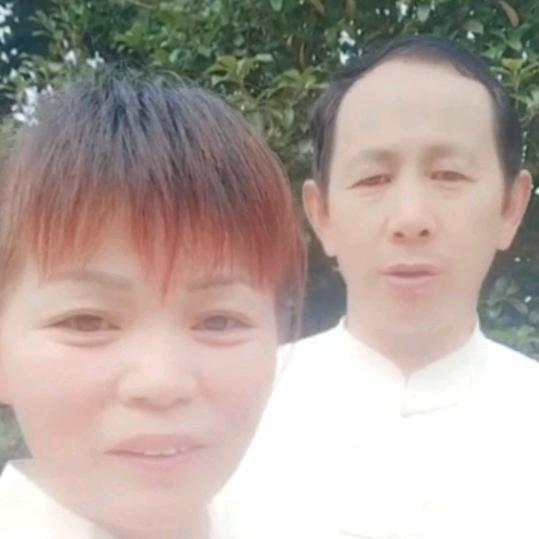 书梅