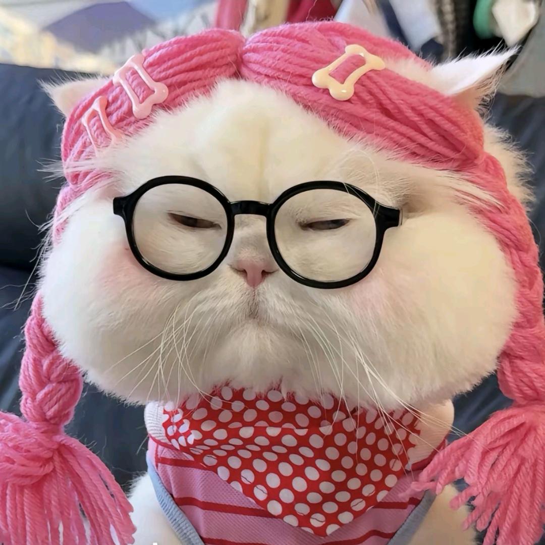 睡觉大王〒