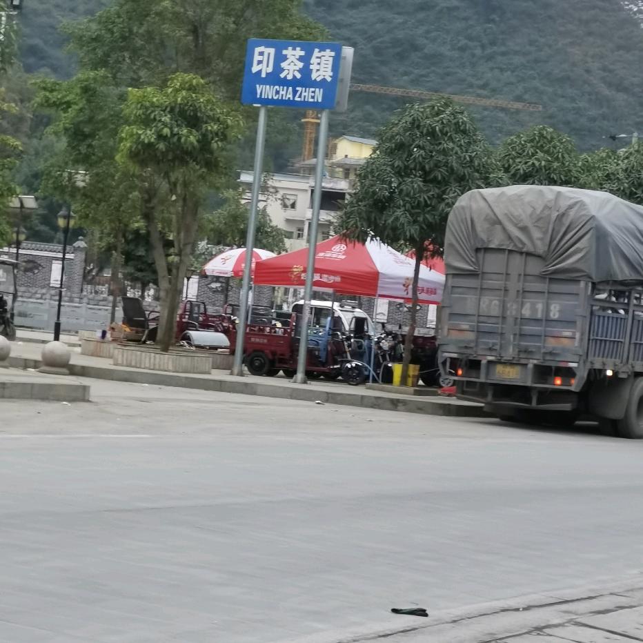 好运降林