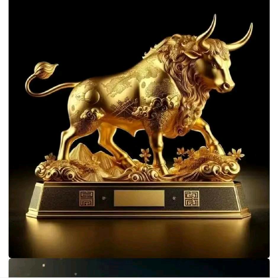 广东惠州鼎博招聘专科