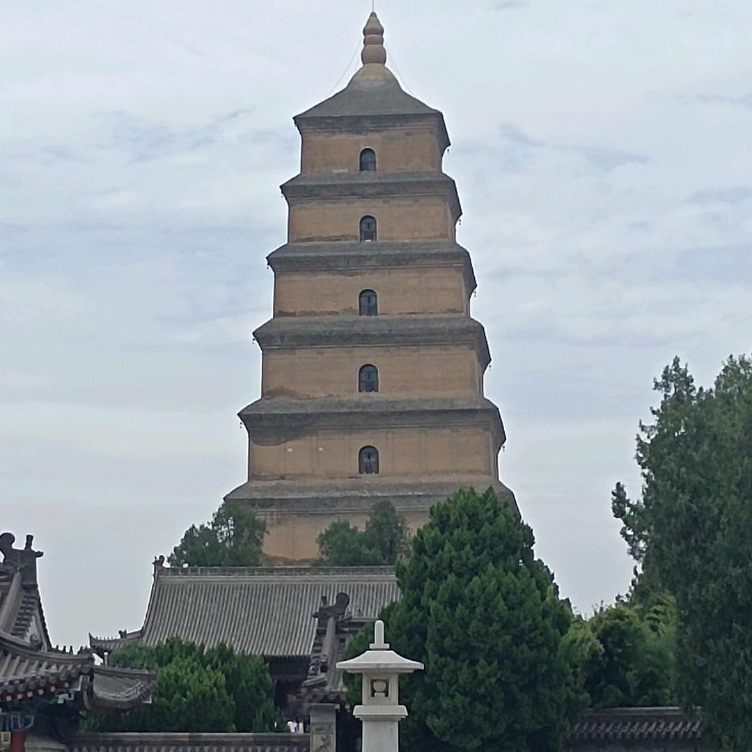 顺其自然