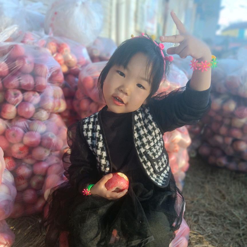 张鱼小丸子245508009