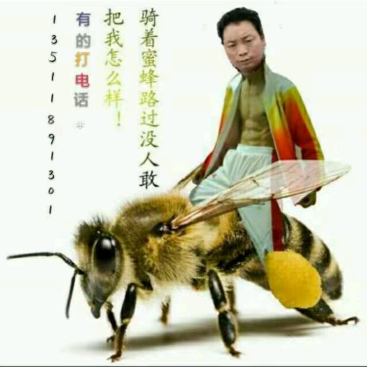 ⑧0后√养蜂家族🚗🐝