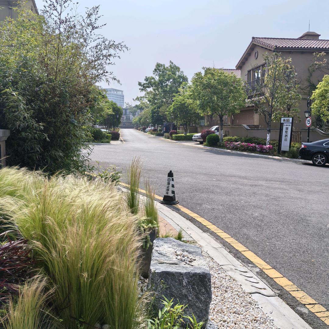 闲谈莫论人非；静坐常思已过。🌊冰冻记忆