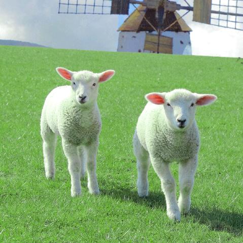 聚福再生资源回收