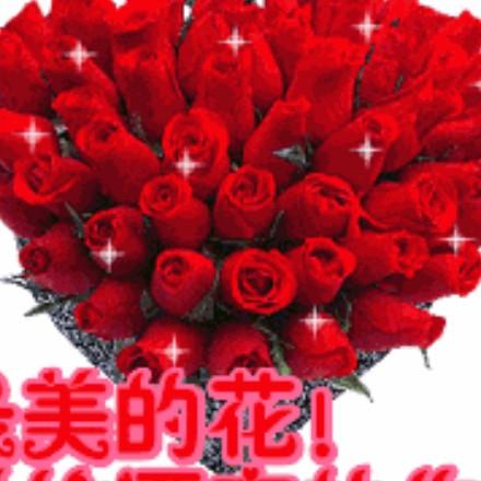 Zhjf223581把右边灯//亮一/把