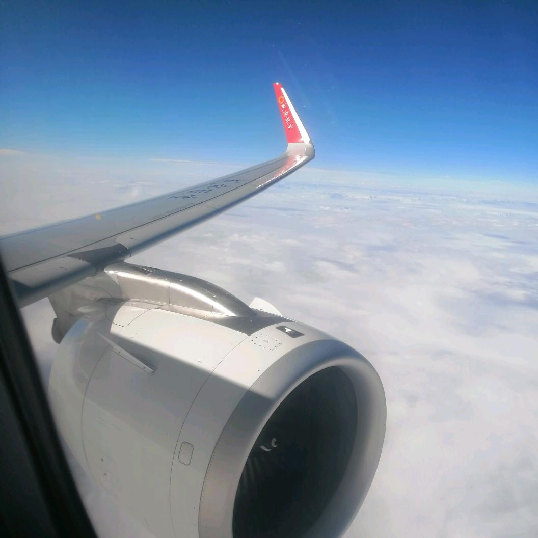 958295931